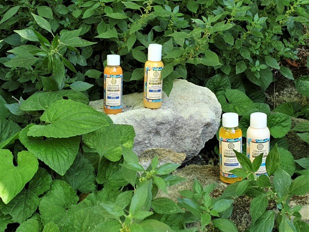 Travel size toiletries on a rock surrounded by plants