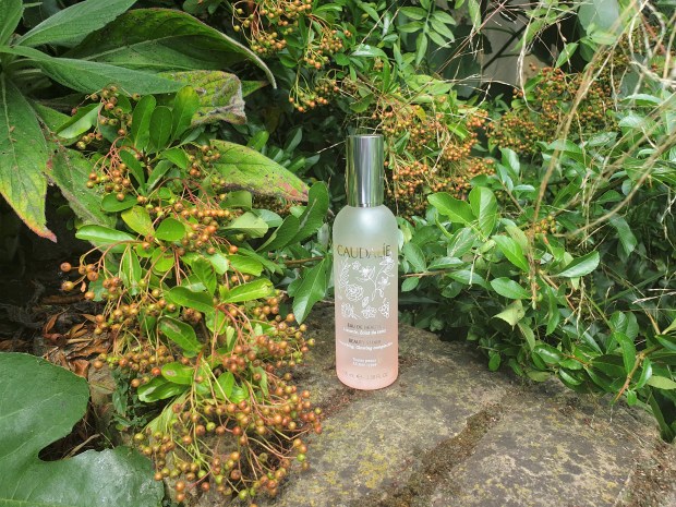 Beauty Elixir in garden