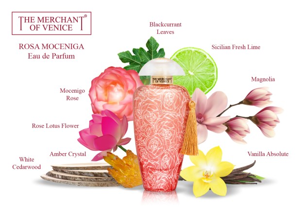 Fragrance pyramid for Rosa Moceniga